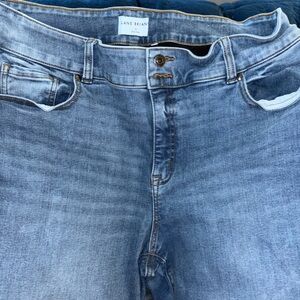 Lane Bryant Tighter Tummy High-Rise Straight Jeans!